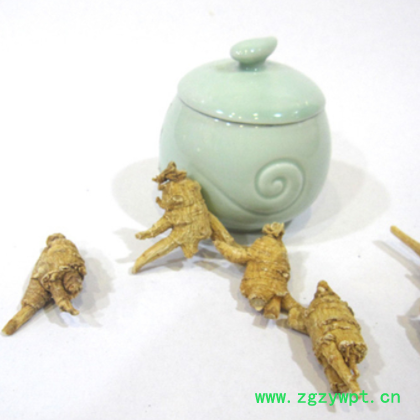 花旗参 西洋参 5克规格带脚原尾花旗参图2