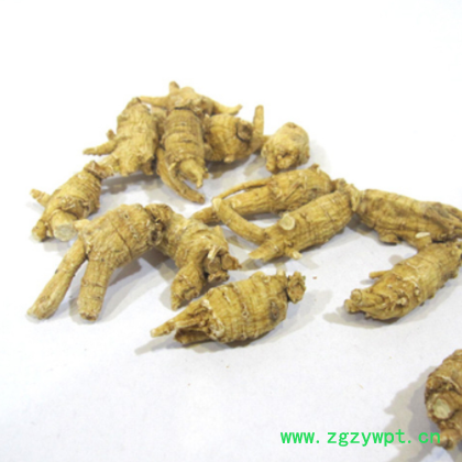 花旗参 西洋参 5克规格带脚原尾花旗参图3