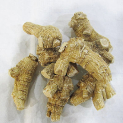 厂家批发西洋参花旗参切片西洋参大片加拿大产15克粒