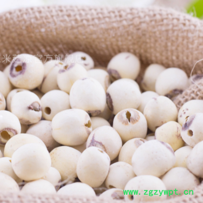 莲子干货 去芯莲子散装湘莲白莲子500g 产地直供 一件代发图2