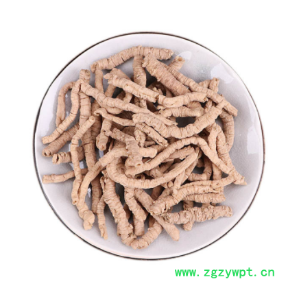 中药材批发 抽芯率高 远志 远志肉 新货 品种齐全 承接订单图3