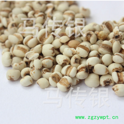 【康源】薏米贵州薏米优质小粒薏米仁新货上架跑量批发