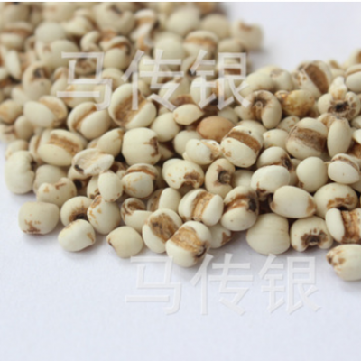 【康源】薏米贵州薏米优质小粒薏米仁新货上架跑量批发