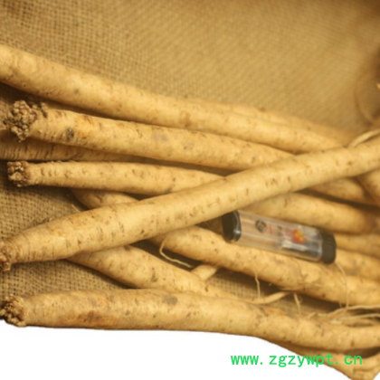 甘肃道地党参直销生态药材种植滋补中药材批发可开专票专业种植图3