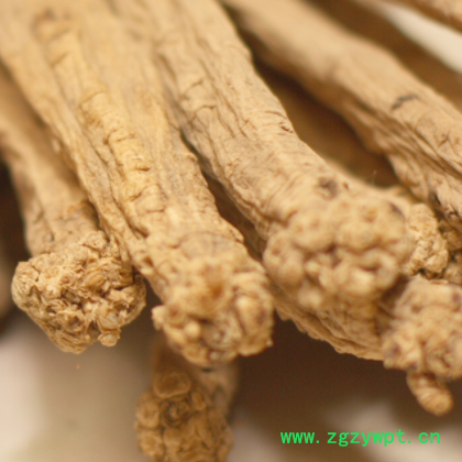 甘肃道地党参直销生态药材种植滋补中药材批发可开专票专业种植图2