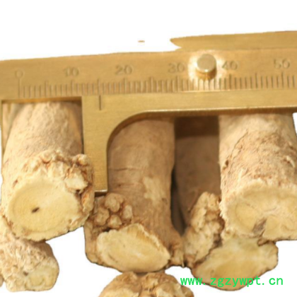 甘肃不同规格大中小黄芪节子产地批发中药材可打粉无硫黄芪图3