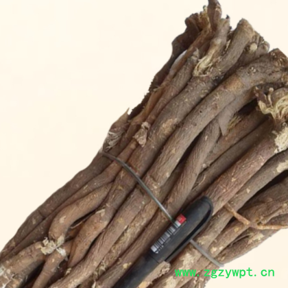 野生红芪黑芪甘肃岷县红芪保健药材原产地药材滋补养生特价批发图2