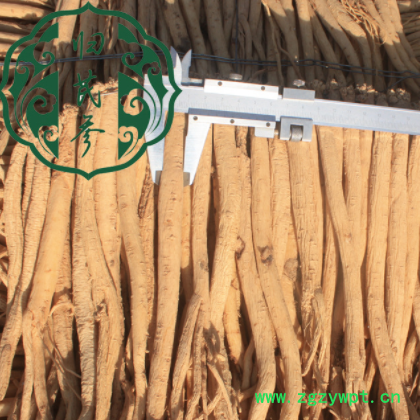 19年产新白条党参甘肃中药材药食同源滋补养生特价批发图2