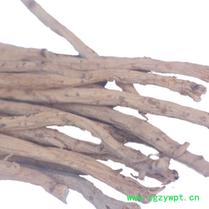 19年产新白条党参甘肃中药材药食同源滋补养生特价批发图3