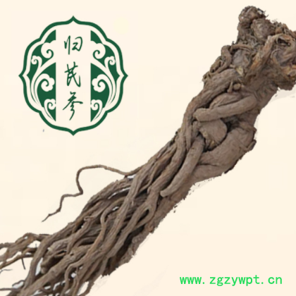 岷县全当归中药材种植滋补养生甘肃岷县当归优选中药批发无忧退货图2