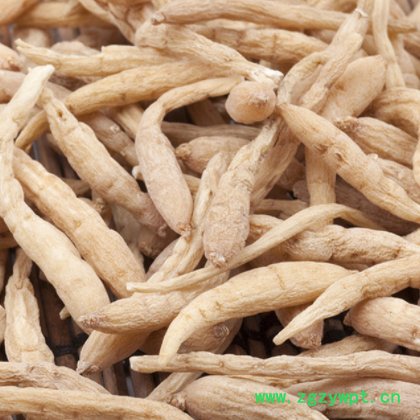 产地现货批发太子参 中药材贵州太子参 优选大货太子参各种规格