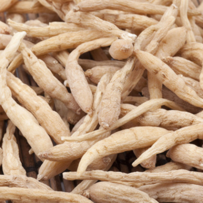 产地现货批发太子参 中药材贵州太子参 优选大货太子参各种规格