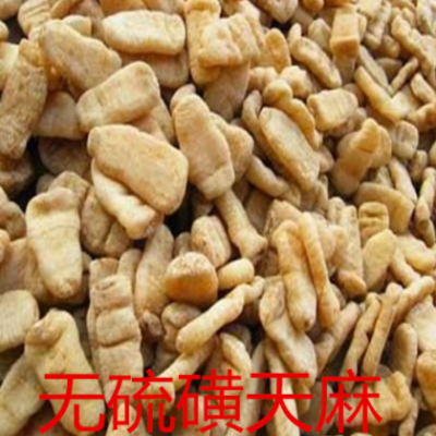 源头货源 大天麻 批发中药材云南大天麻 云南昭通天麻 大天麻供应