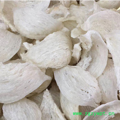 燕窝即时雨季燕盏全干产地不刷胶孕妇滋补品大货批发一件代发代理