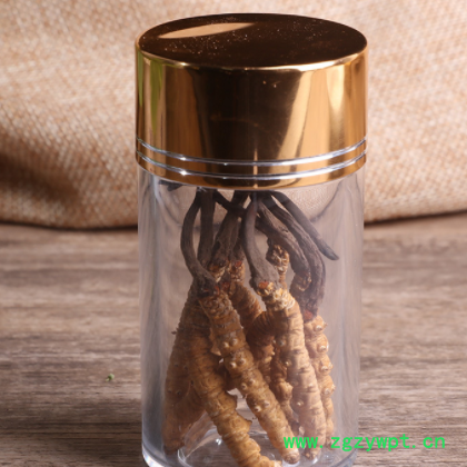 冬虫夏草西藏那曲高海拔新鲜虫草产地直供大货批发青海全规格图3