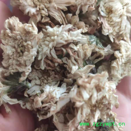 安徽黄山贡菊 500g装白贡菊花黄贡 菊花茶 花果茶批发图3
