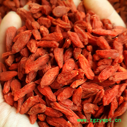 枸杞子新货宁夏红枸杞 散装250g大颗粒枸杞子 泡茶中宁免洗枸杞图2