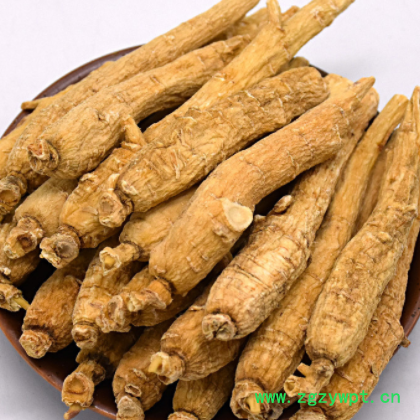 西洋参个头 长白山 西洋参片 切片含片 花旗参片
