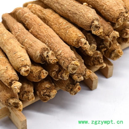 西洋参个头 长白山 西洋参片 切片含片 花旗参片图2