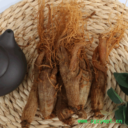 长白山红参吉林东北特产厂家批发 无糖红参全须大量供应批发6年参图2