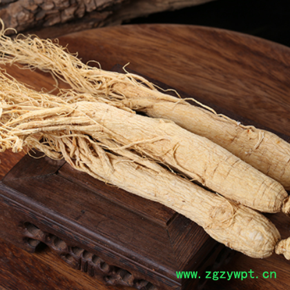 东北特产白参 长白山人参 白全须500克装6年白参批发多规格