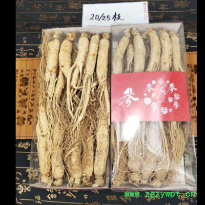 东北特产白参 长白山人参 白全须500克装6年白参批发多规格图3