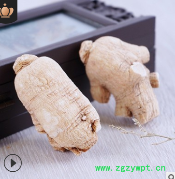 商务馈赠西洋参产地批发 东北特产长白山老人礼品西洋参短枝粒头图2