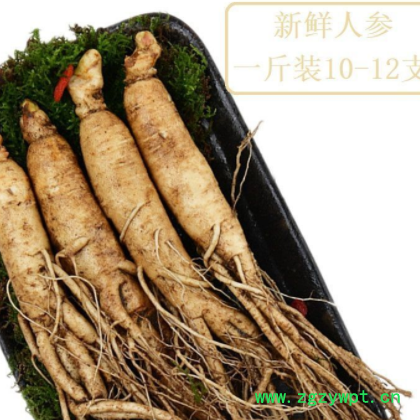 新鲜人参500g/100g 长白山带土鲜人参 非野山参6-8年根图3