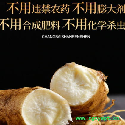 新鲜人参500g/100g 长白山带土鲜人参 非野山参6-8年根图2