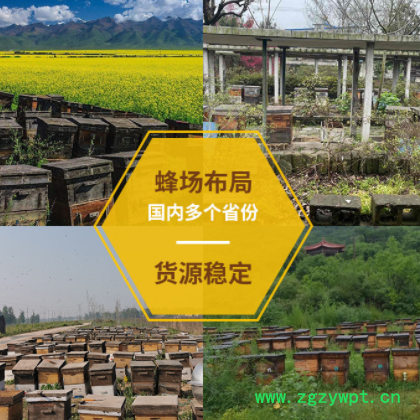 桶装蜂蜜75公斤百花蜜 洋槐花蜂蜜散装土蜂蜜多规格蜂蜜厂家批发图2