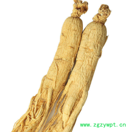 【8-19年长白山野山人参】野山参白参生晒参长白山人参礼盒图2