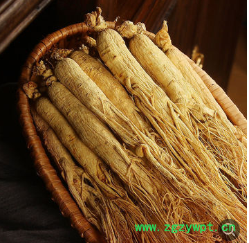 【长白山15年老参王】野山参长白山人参生晒参干人参泡酒煲汤人参图3
