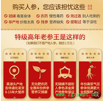 【长白山15年老参王】野山参长白山人参生晒参干人参泡酒煲汤人参图2