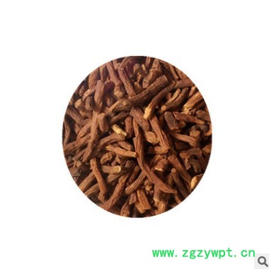 批发 新货蒲公英根 散装蒲公英根500g 现货供应 量大从优