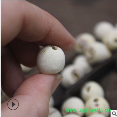 产地直供中药材批发白莲子 散装红连子肉500g 现货供应 量大从优