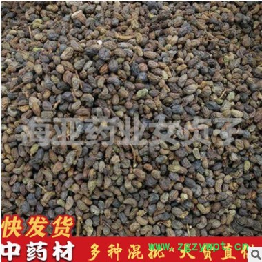 批发中药材女贞子 弯腰女贞子 鸡腰女贞子 现货供应 量大从优图3