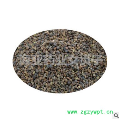 批发中药材女贞子 弯腰女贞子 鸡腰女贞子 现货供应 量大从优