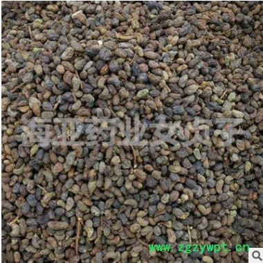 批发中药材女贞子 弯腰女贞子 鸡腰女贞子 现货供应 量大从优图2