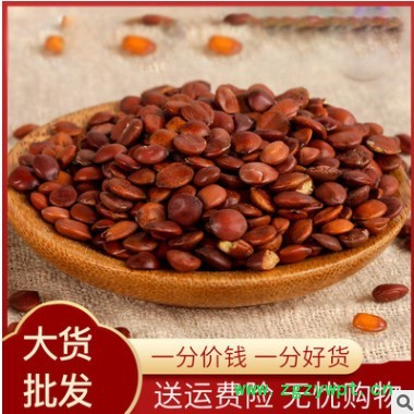 中药材酸枣仁 新货酸枣仁茶量大价优散装酸枣仁产地货源图3