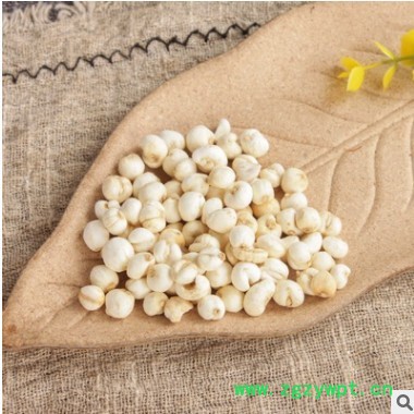 批发熏贝母 平贝母 道地药材 贝母粉品种规格齐全 量大从优