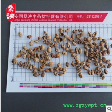 中药材批发中药材益智仁、益智子、摘艼子批发益智仁香料原材批发图2