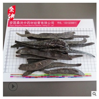 中药材批发中药材水蛭 清水干货宽体金钱蛭清水吊茶色蛭 厂家批发