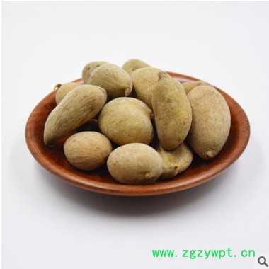 河北安国供应批发肚倍 五倍子1000g