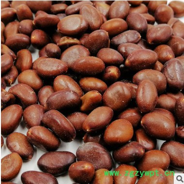 大粒皂角籽 皂角种子皂荚籽1000g