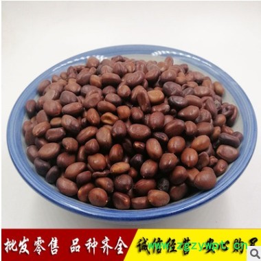 大粒皂角籽 皂角种子皂荚籽1000g图3