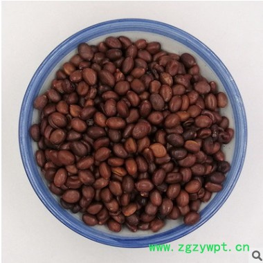 大粒皂角籽 皂角种子皂荚籽1000g图2