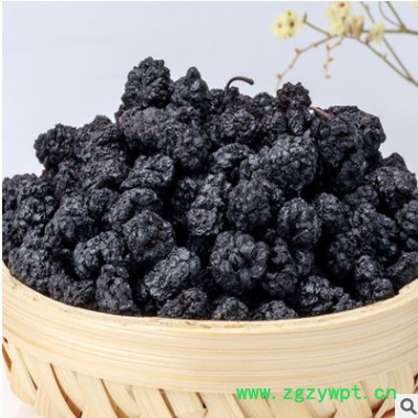中药材桑葚干批发 黑桑葚果干无沙桑葚子泡酒 黑桑葚散装承接大货图2