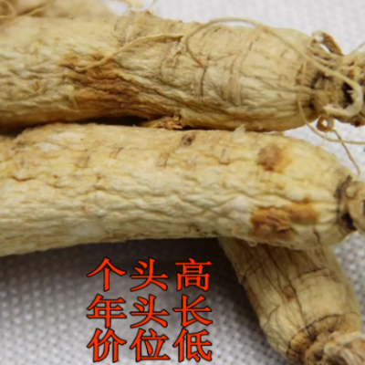 干残参长白山生晒参全须瑕疵白参磕巴参锈参吃货赔钱处理规格齐全