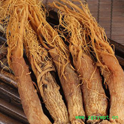 无糖红参长白山红全须吉林人参原皮红参东北特产红参光支500g滋补图2