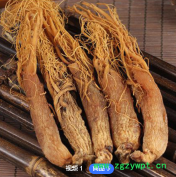 无糖红参长白山红全须吉林人参原皮红参东北特产红参光支500g滋补图2